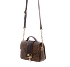 Brown Crossbody Bag
