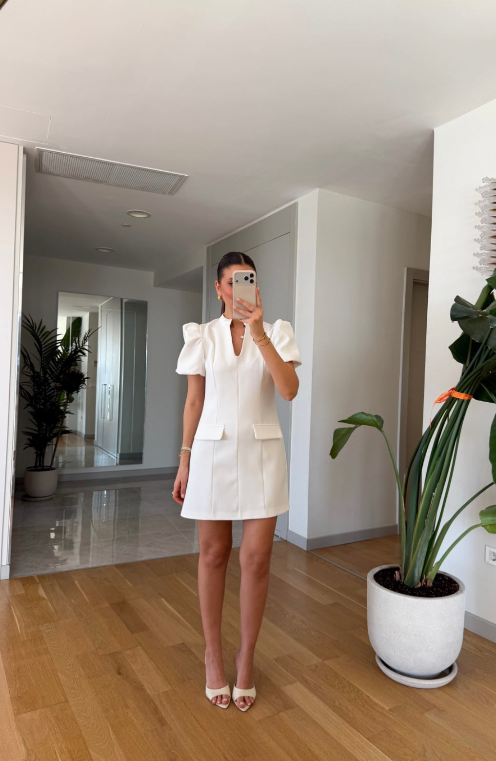 Balloon Sleeves Dress