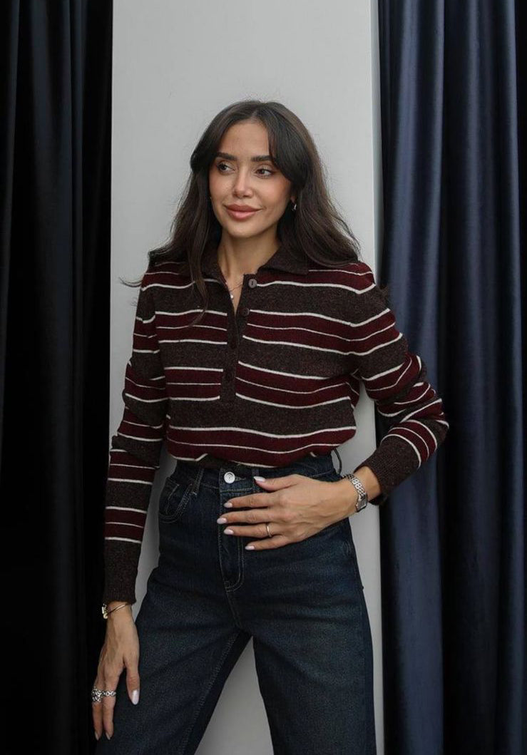 Burgundy-brown Stripped sweater