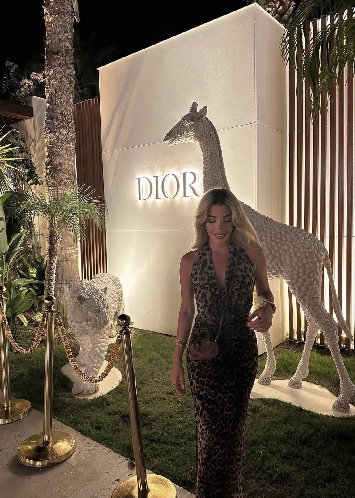 Open-back leopard dress